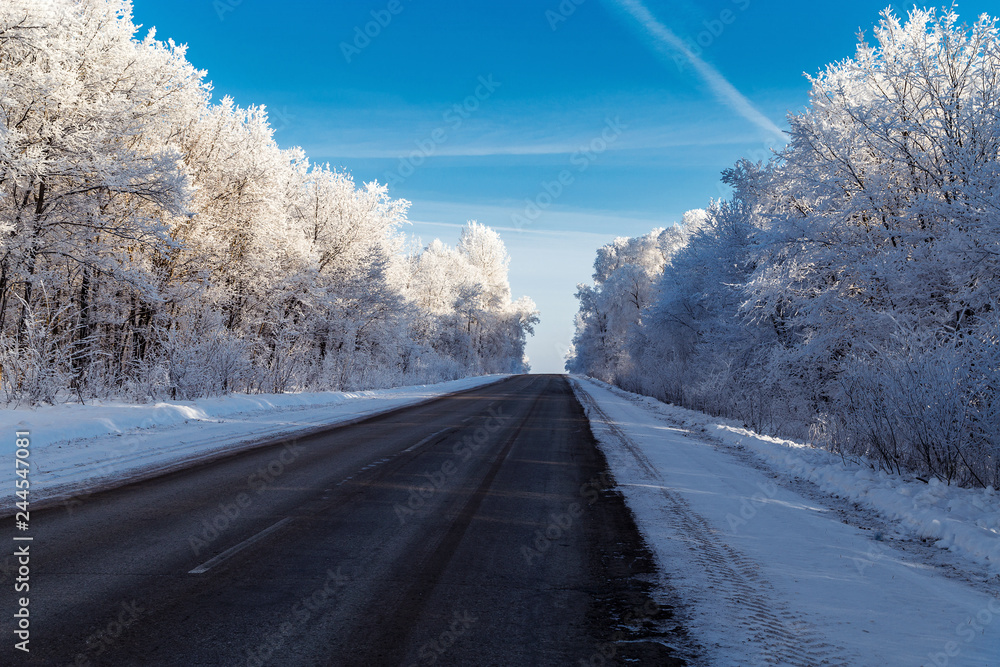 Fototapeta premium Winter in the mountains