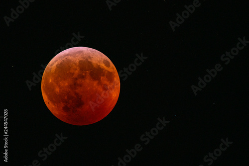 Fototapeta Naklejka Na Ścianę i Meble -  Super Blood Wolf Moon