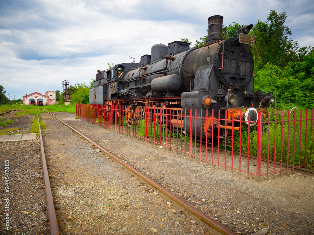 Obraz premium OLYMPUS DIGITAL CAMERA