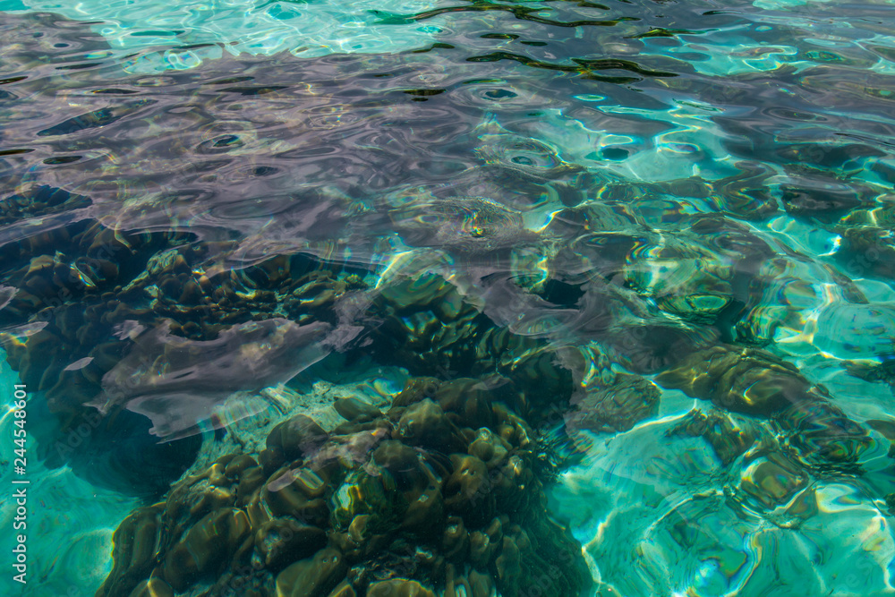 Fototapeta premium background sea 