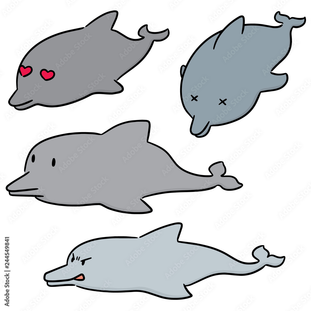 vector set of dolphin vector set of dolphin