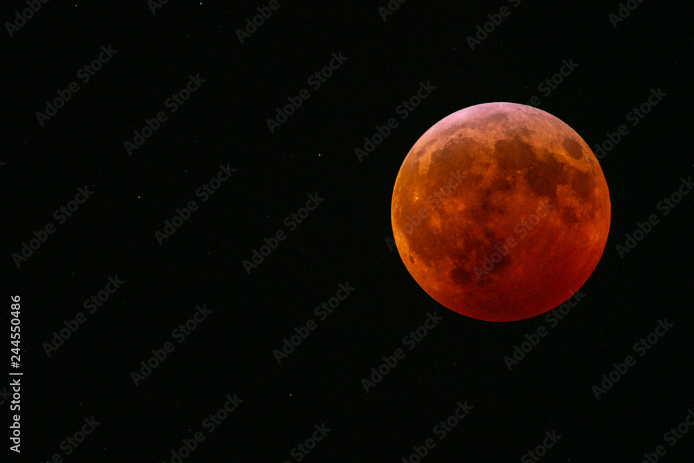 Super Blood Wolf Moon Super Blood Wolf Moon