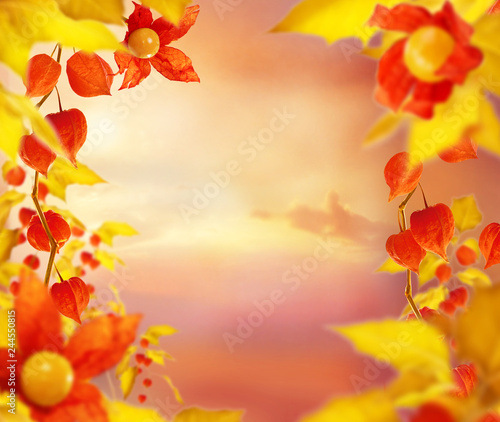empty art floral background with golden leaves and fizalis flowers, copy space