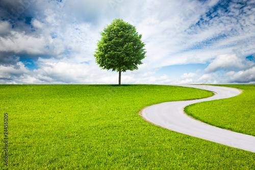 Weg in Landschaft