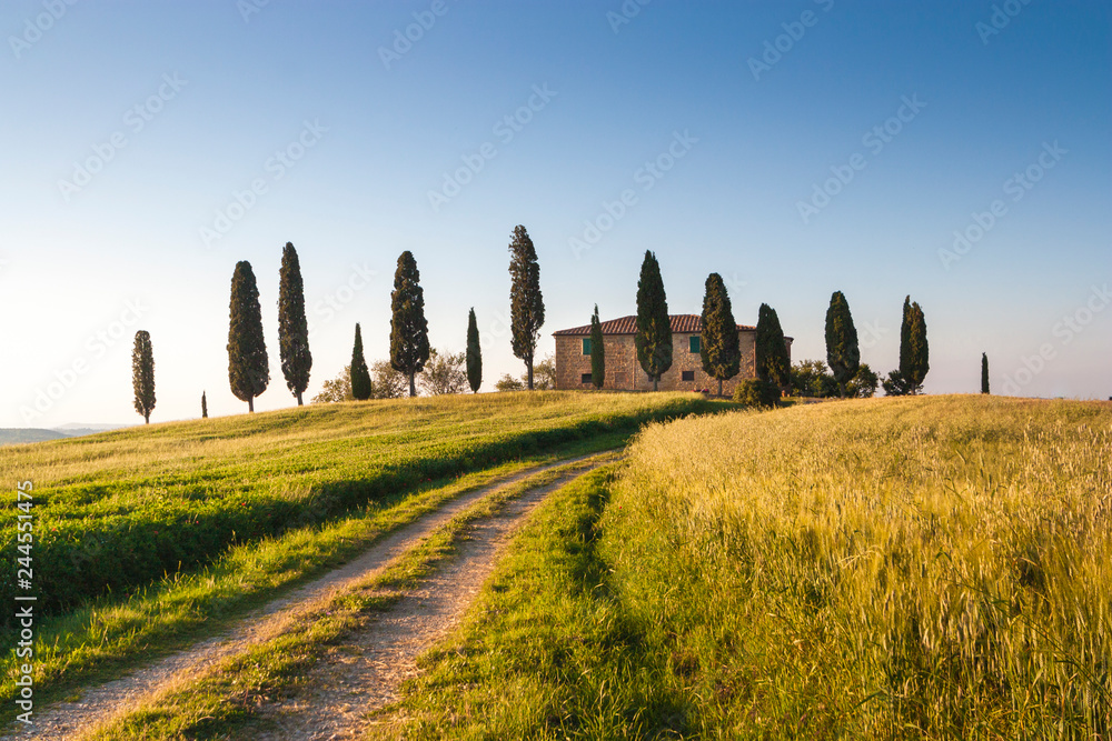 Fototapeta premium Val d'Orcia landscape, Siena province, Tuscany, Italy