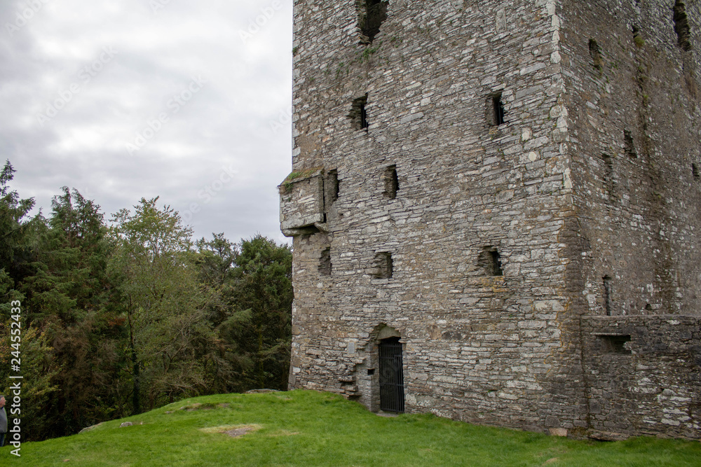 Ballinacarriga Castle is a 16th-century tower house located in the village of Ballinacarriga, about 9 kilometres from the town of Dunmanway, West Cork Ireland Ballinacarriga Castle is a 16th-century tower house located in the village of Ballinacarriga, about 9 kilometres from the town of Dunmanway, West Cork Ireland