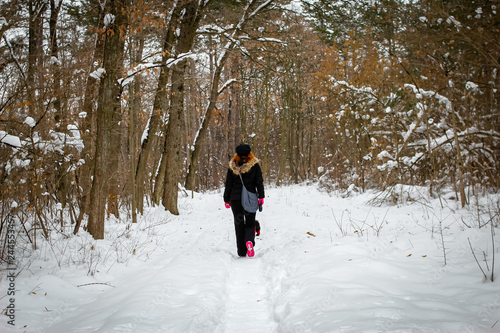 Girl walk with dog through forest in a winter. Path surrounded with forest and covered with snow.
