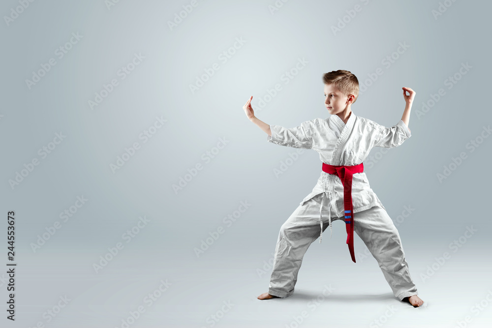 Creative background, a child in a white kimono in a fighting stance, on a light background. The concept of martial arts, karate, sports since childhood, discipline, first place, victory. copy space. Creative background, a child in a white kimono in a fighting stance, on a light background. The concept of martial arts, karate, sports since childhood, discipline, first place, victory. copy space.
