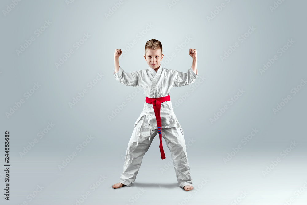 Creative background, a child in a white kimono in a fighting stance, on a light background. The concept of martial arts, karate, sports since childhood, discipline, first place, victory. copy space. Creative background, a child in a white kimono in a fighting stance, on a light background. The concept of martial arts, karate, sports since childhood, discipline, first place, victory. copy space.
