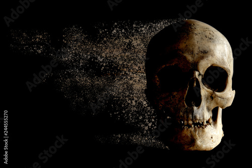 Принти на полотні The human skull is falling apart in the wind like sand