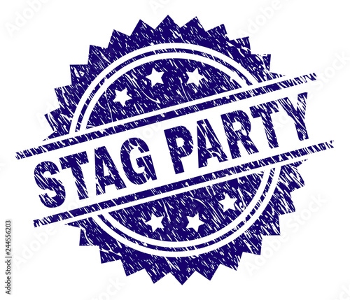 STAG PARTY stamp seal watermark with distress style. Blue vector rubber print of STAG PARTY title with grunge texture.