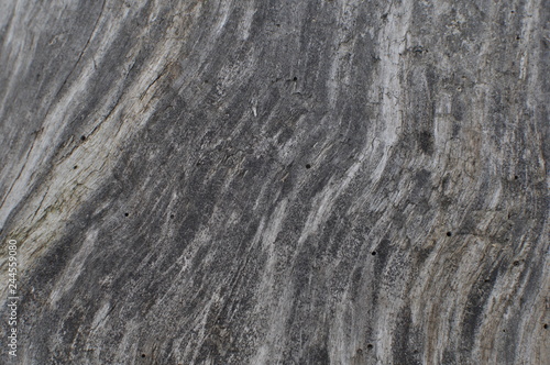 texture of wood