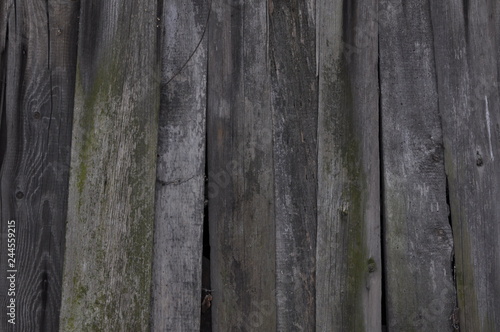 old wood texture background