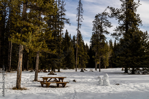 Snowmen guard the picnic area at Bragg Creek Provincial Park, Alberta, Canada © David
