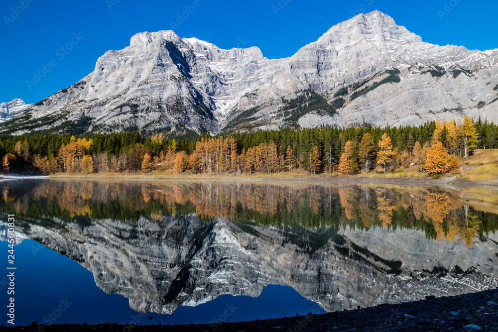 Rockies from Wedge Pond under late fall colours, Spray Valley Provincial Park