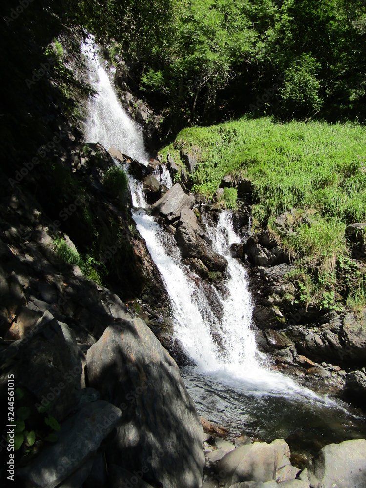 Naklejka premium Cascada