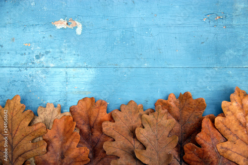 Yellow autumn oak leaves on an old vintage Board. Autumn background.