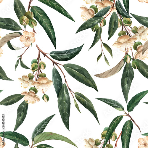 Watercolor durian tropical vector seamless pattern
