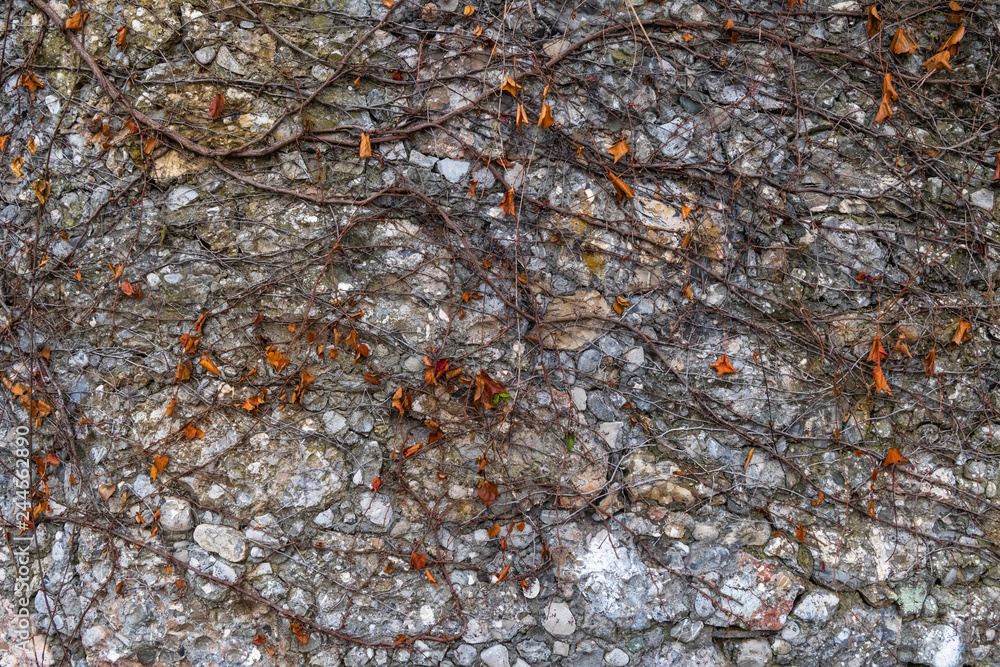 Stone wall with dried leaves background Stone wall with dried leaves background