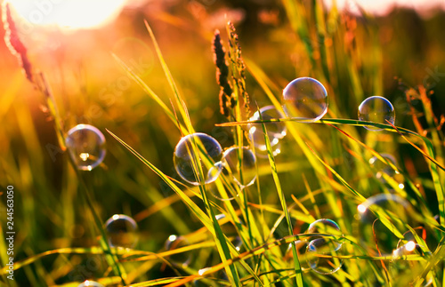 beautiful natural with summer clear green meadow and soap bubbles brightly sh...