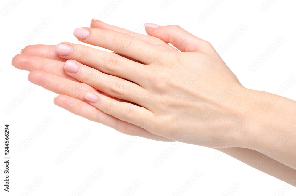 Female hands cream care beauty on white background isolation