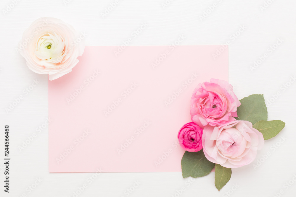 Beautiful colored ranunculus flowers on a white background. Spring greeting card.