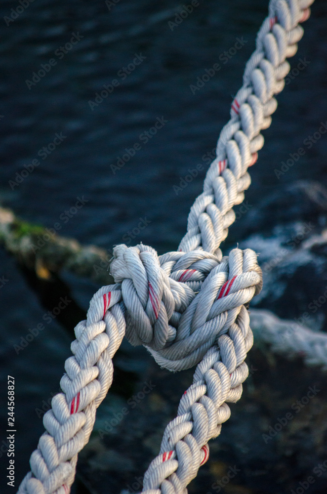 Fototapeta premium Old Mossy Rope in The Sea