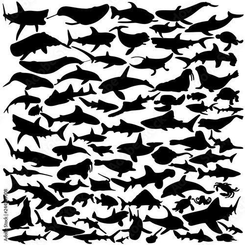 Sea animals silhouettes on white background