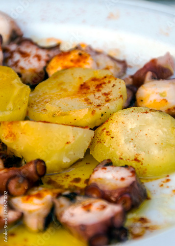 Octopus with potatoes served on a plate