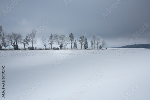 Winterlandschaft im Schwarzwald © Sylvia Mekelburg