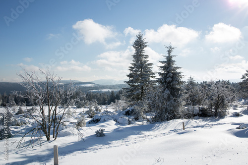 Winterwonderland im Schwarzwald