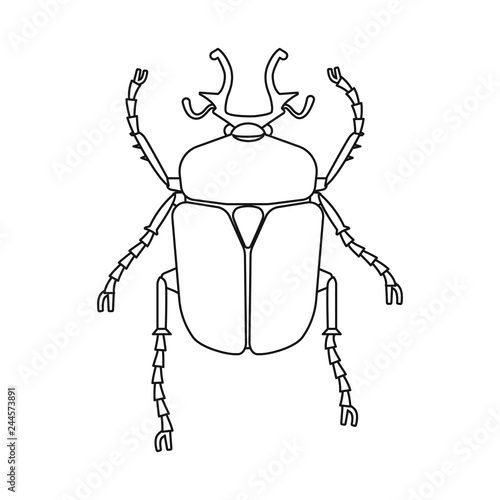 Vector design of insect and fly symbol. Set of insect and element stock symbol for web.