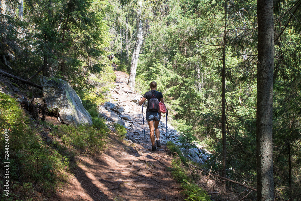 Female hiker with a backpack is walking along a stony trail in the forest