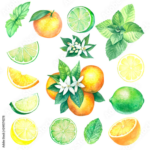 Lemon, lime, orange and mint.