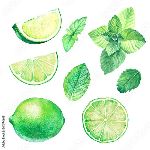 Set of mint and lime leaves.
