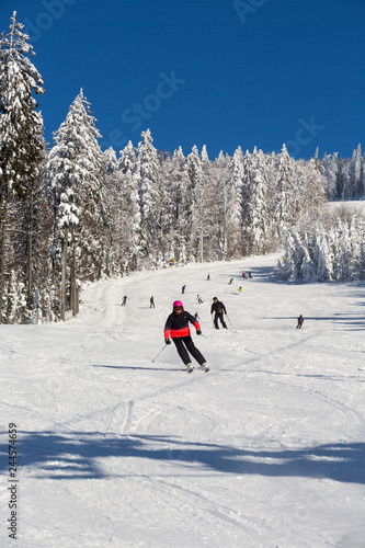 Winterlandschaft