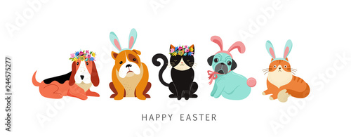 Happy Easter card, dogs and cats wearing bunny costumes, holding basket with eggs