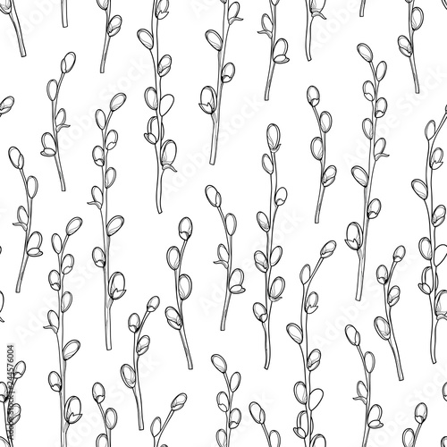 Vector seamless pattern with outline blossoming Willow twigs in black on the white background. Branch with blooming pussy Willow in contour style for springtime design and Easter coloring book.