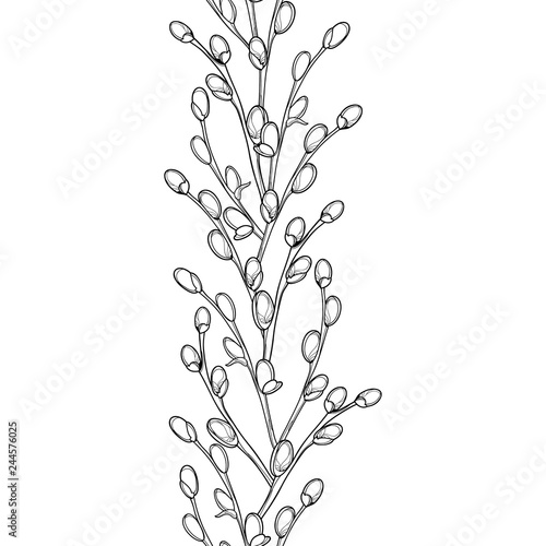 Vector vertical seamless pattern with outline blossoming Willow twigs in black on the white background. Branch with blooming pussy Willow in contour style for spring design and Easter coloring book.