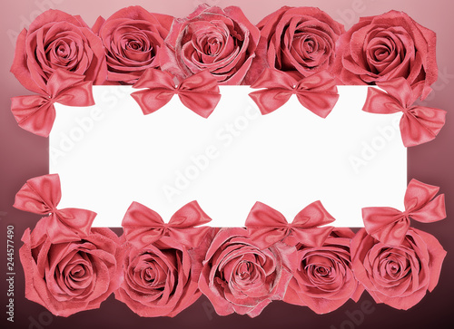 Fresh valentine rose frame isolated on white background with clipping path