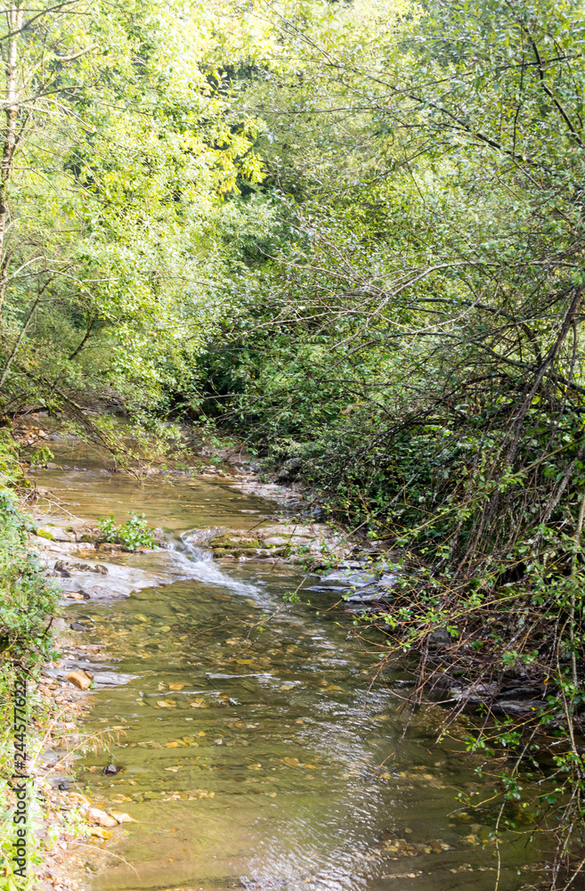 River in the Pyrenees mountains in Navarre in a cloudy day