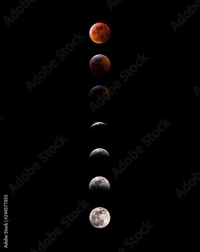 Фотография Super Blood Wolf Moon Phases