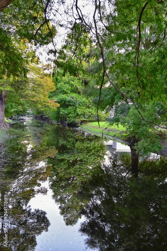 Views of trees and unique nature aspects surrounding New Orleans, including reflecting pools in cemeteries and the Garden District, in Louisiana, United States.