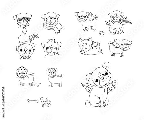 Set of little pugs. Cute animals. Vector illustrations