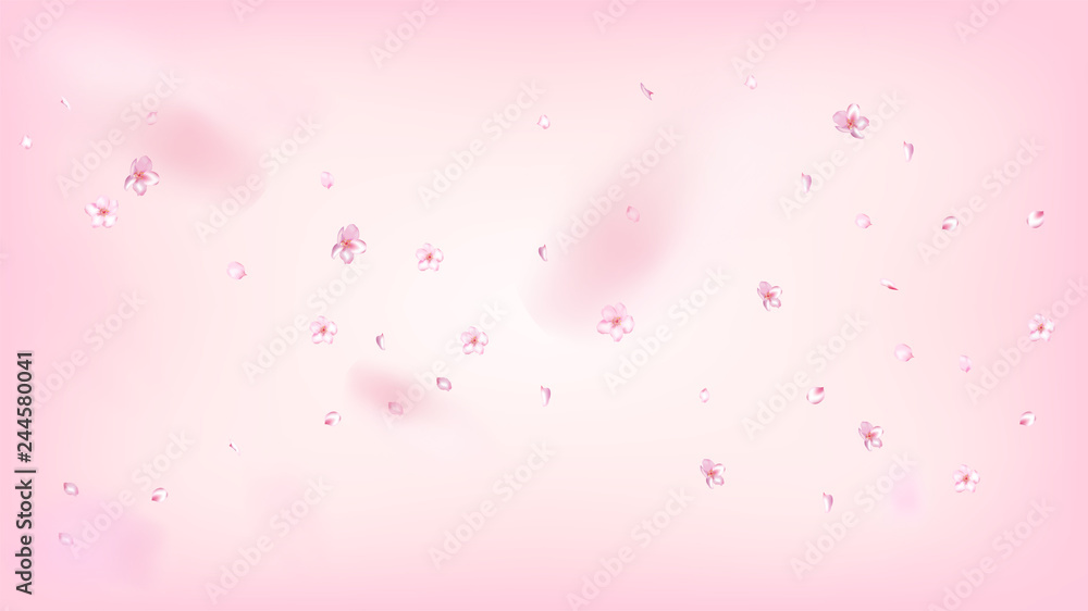 Nice Sakura Blossom Isolated Vector. Spring Blowing 3d Petals Wedding Border. Japanese Blurred Flowers Wallpaper. Valentine, Mother's Day Watercolor Nice Sakura Blossom Isolated on Rose