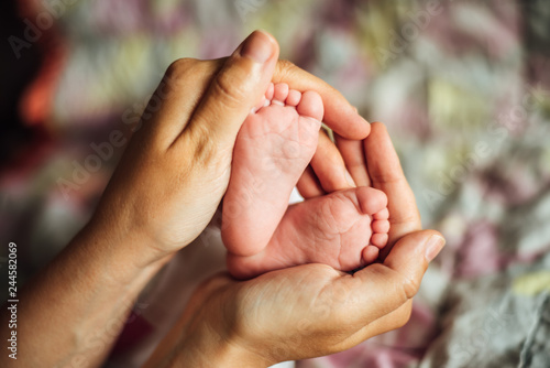 Newborn baby feet in mom's hands © molenira