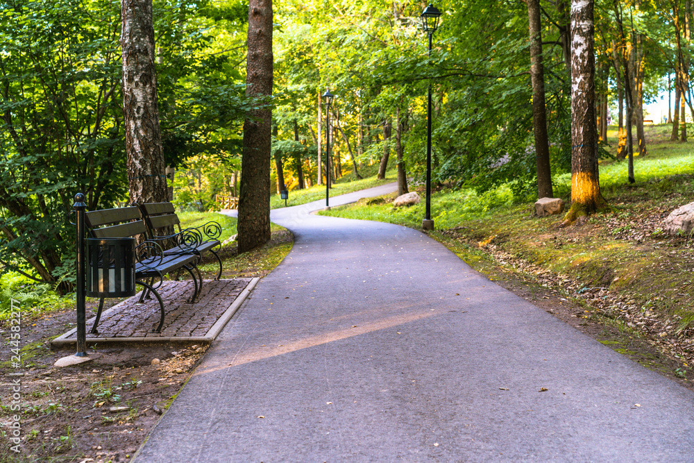 Colorful Photo of the Road in a Park, Between Woods - with the Chain Fence on the Side of it and Park Benches in the Background with Space for Text, Sunny Autumn Day