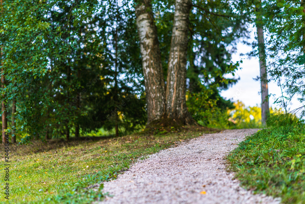 Colorful Photo of the Park on a Sunny Autumn day - Walking Path in the Middle of it Colorful Photo of the Park on a Sunny Autumn day - Walking Path in the Middle of it
