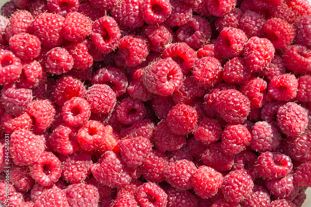 Background from fresh ripe red raspberry berries. Close-up, top view. Flat lay. Background from fresh ripe red raspberry berries. Close-up, top view. Flat lay.
