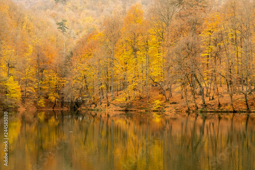 autumn at lake